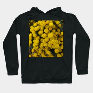 Yellow Flower Bunch Photography My Hoodie